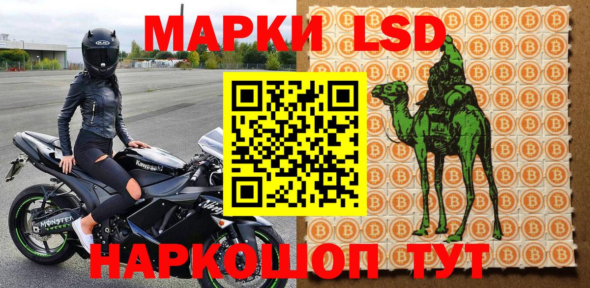 Ленинск-Кузнецкий  Марки NBOMe  Вход с VPN  Наркотические марки 1,5мг 