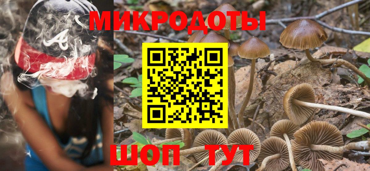 Псилоцибиновые грибы мухоморы Ленинск-Кузнецкий