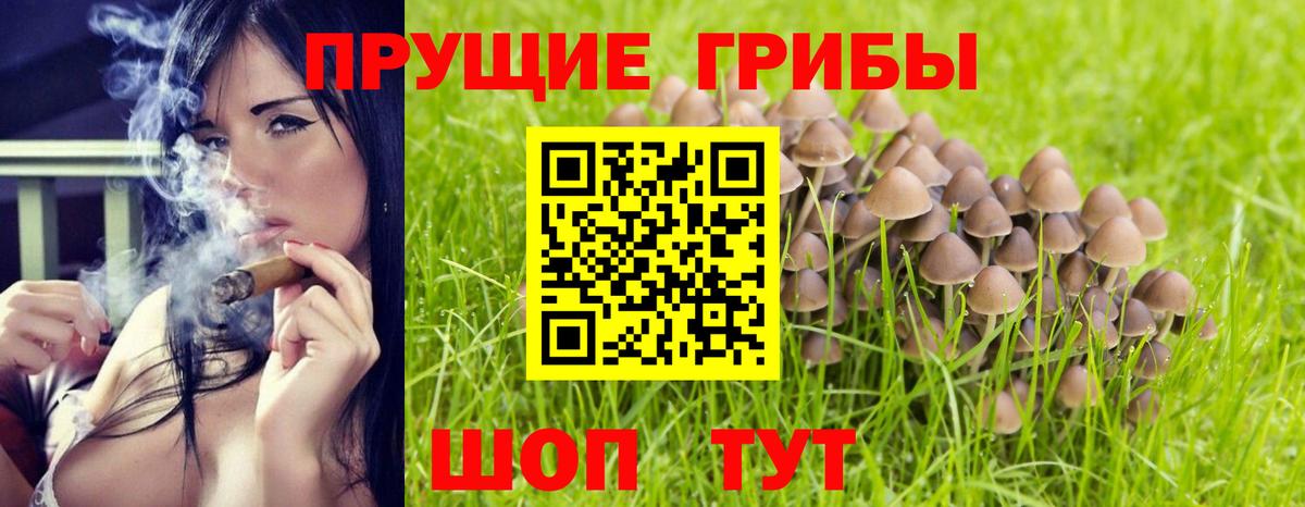 Ленинск-Кузнецкий  Галлюциногенные грибы Psilocybe  Галлюциногенные грибы прущие грибы  Вход с VPN 